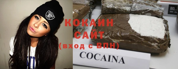 хмурый Аркадак