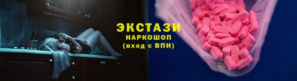 хмурый Аркадак