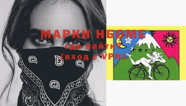 хмурый Аркадак