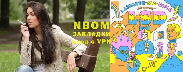 хмурый Аркадак