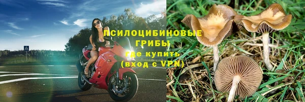 ешки Армянск