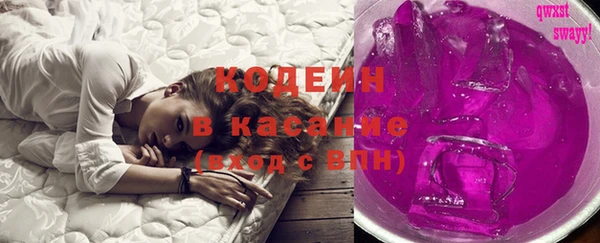 хмурый Аркадак