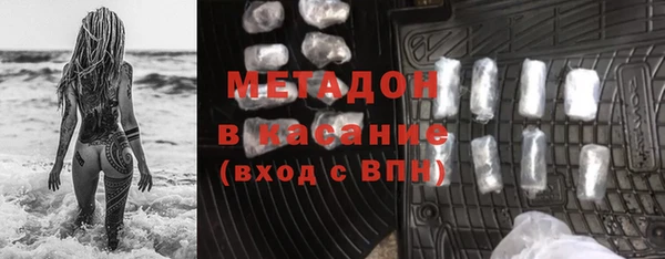 хмурый Аркадак